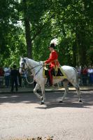 Trooping the Colour 027.jpg - 2005:06:11 10:55:02