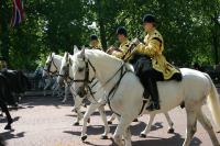 Trooping the Colour 019.jpg - 2005:06:11 10:52:12