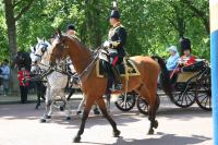 Trooping the Colour 023.jpg - 2005:06:11 10:54:29