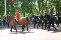 Trooping the Colour 028.jpg - 2005:06:11 10:55:14