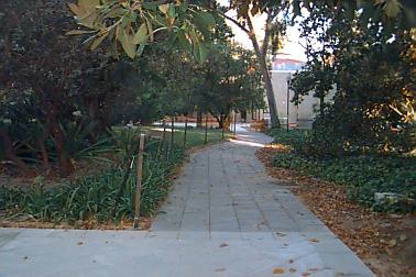Hacket Hall looking east